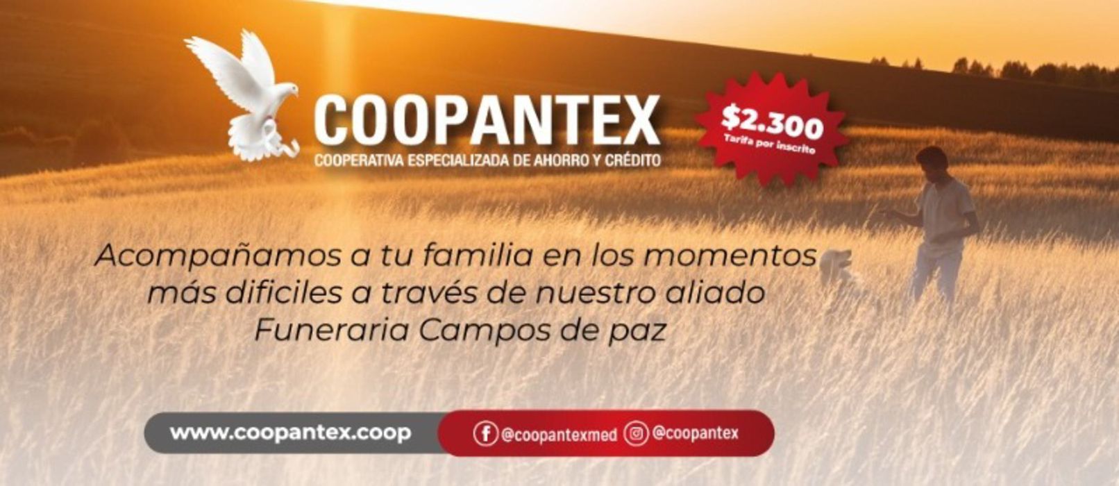 Catálogo Coopantex en Medellín | Coopantex oferta | 2/5/2024 - 16/5/2024