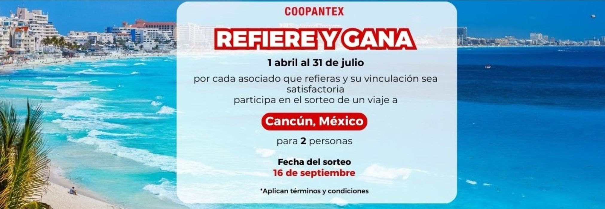 Catálogo Coopantex en Medellín | Ofertas Especiales Coopantex | 29/5/2024 - 31/7/2024