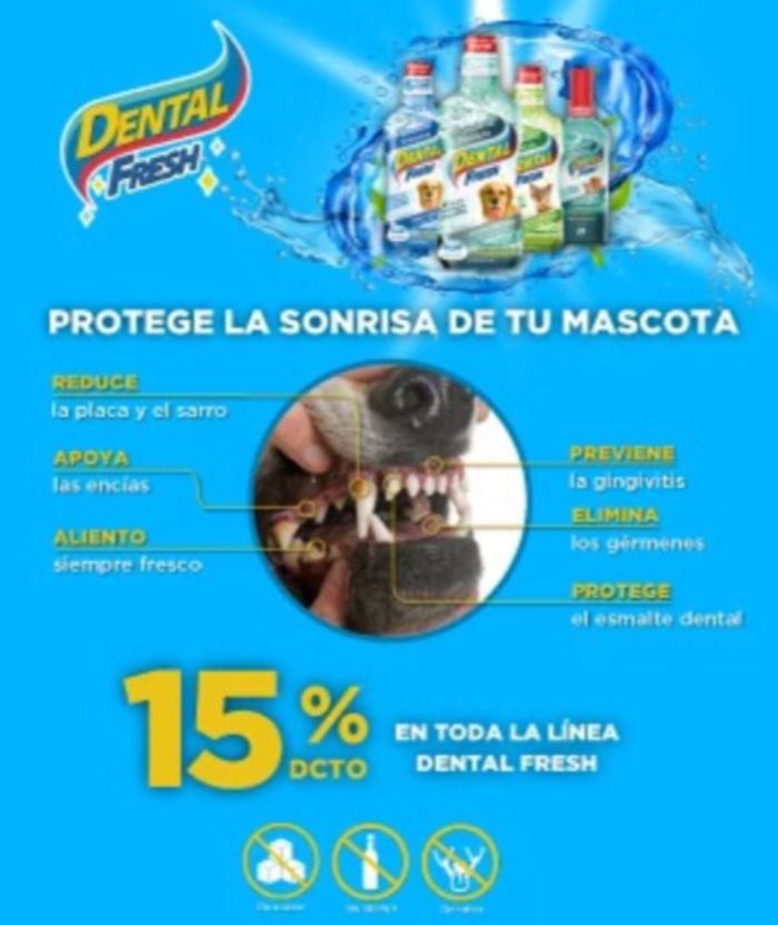 Catálogo Bichos en Chía | 15% DE DESCUENTO | 22/8/2024 - 22/9/2024