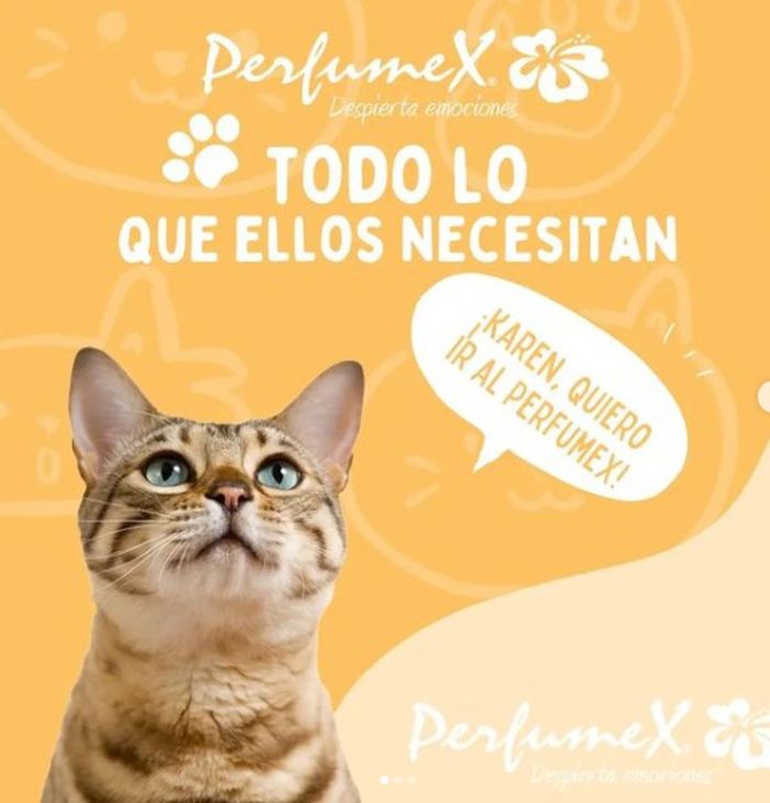 Catálogo Perfumex en Pasto | Todo lo que ellos necesitan | 28/8/2024 - 28/9/2024