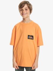 Oferta de Back Flash ‑ Camiseta para Chicos 8-16 por $25 en Quiksilver