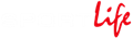 Logo Sport Life